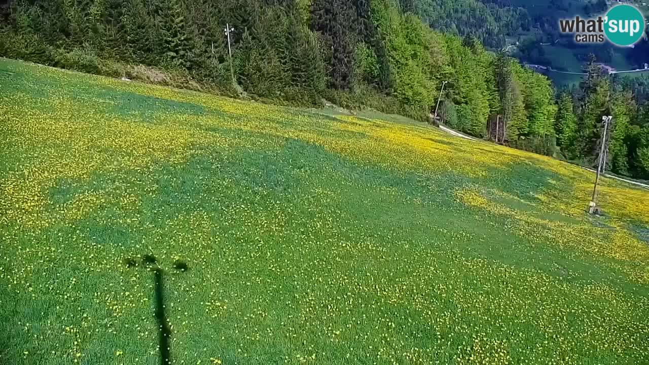 Stari Vrh Ski resort Live webcam – Slovenia