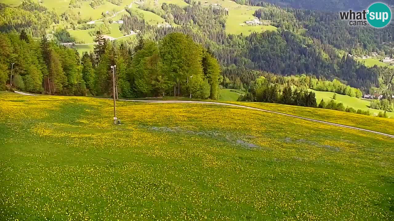 Stazione sciistica di Stari Vrh Webcam in diretta – Slovenia