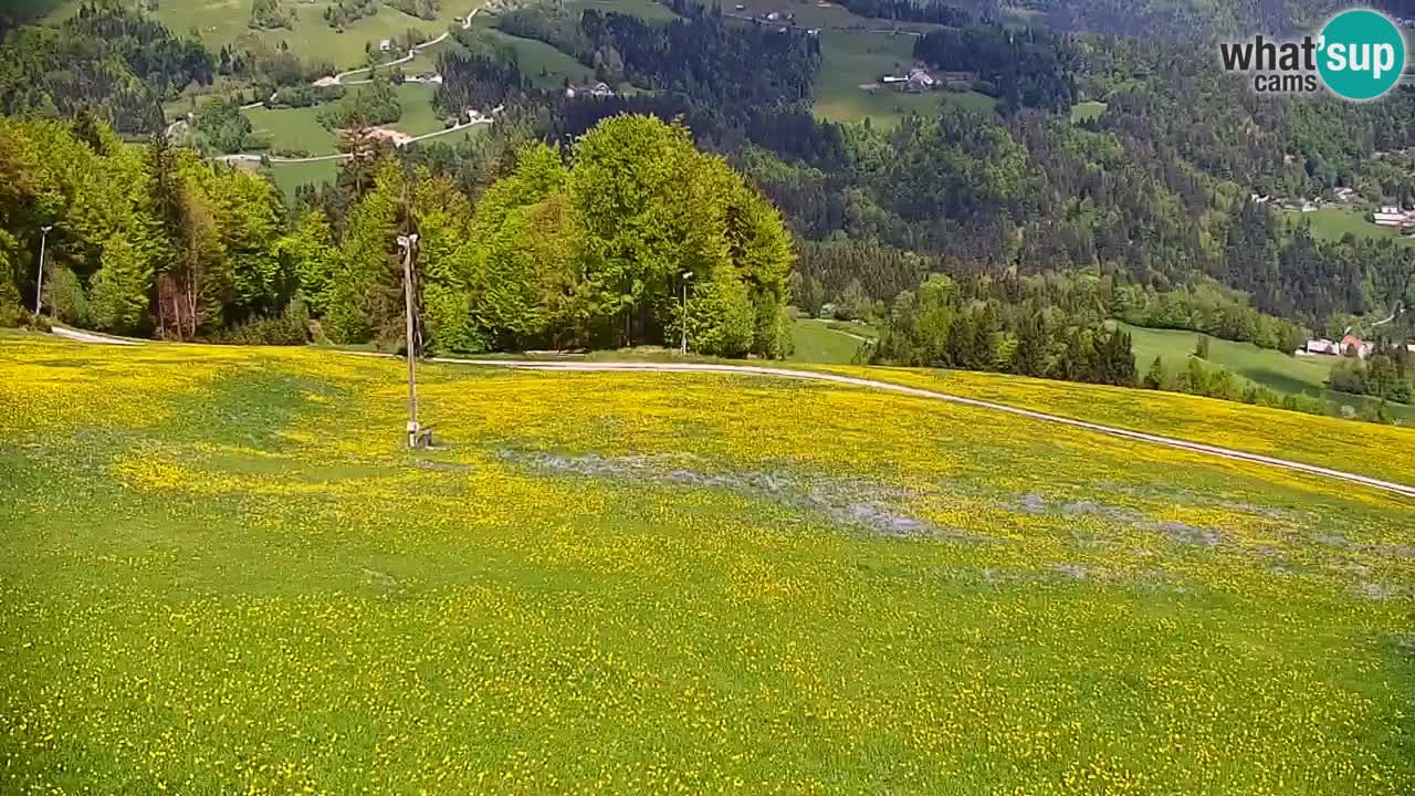 Skijalište Stari Vrh Web kamera uživo – Slovenija