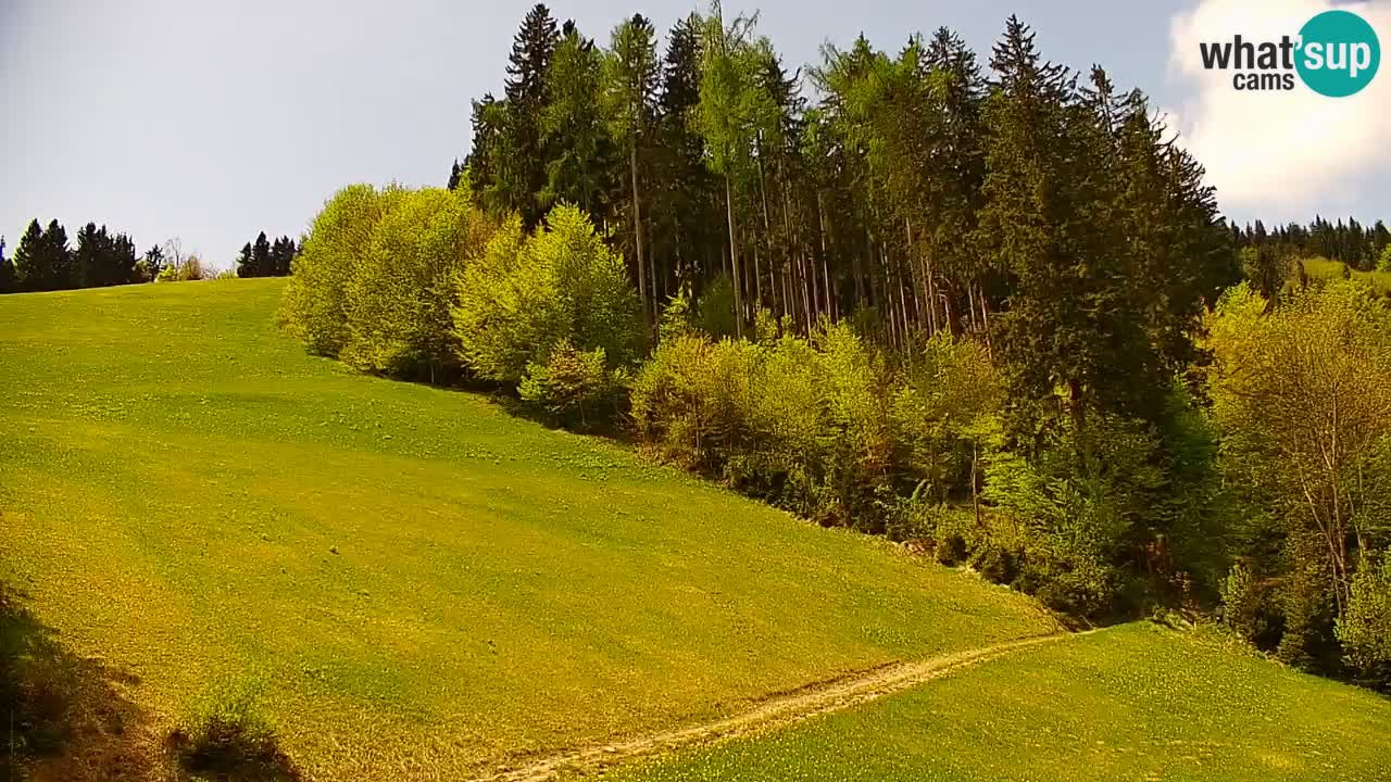 Skijalište Stari Vrh Web kamera uživo – Slovenija