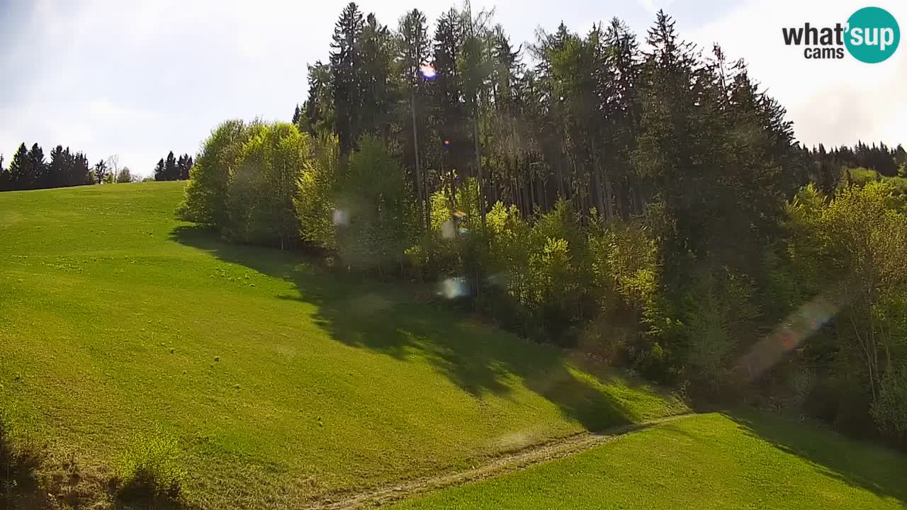 Stari Vrh Ski resort Live webcam – Slovenia
