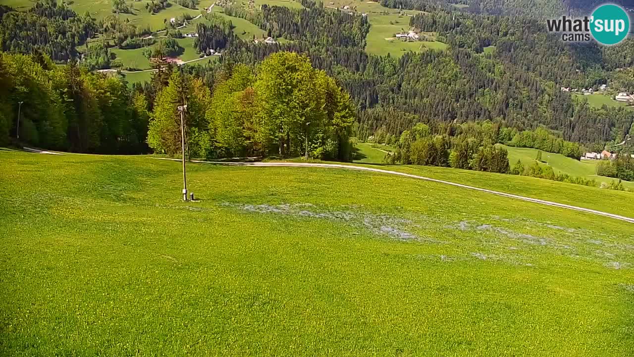 Skigebiet Stari Vrh Live Webcam – Slowenien