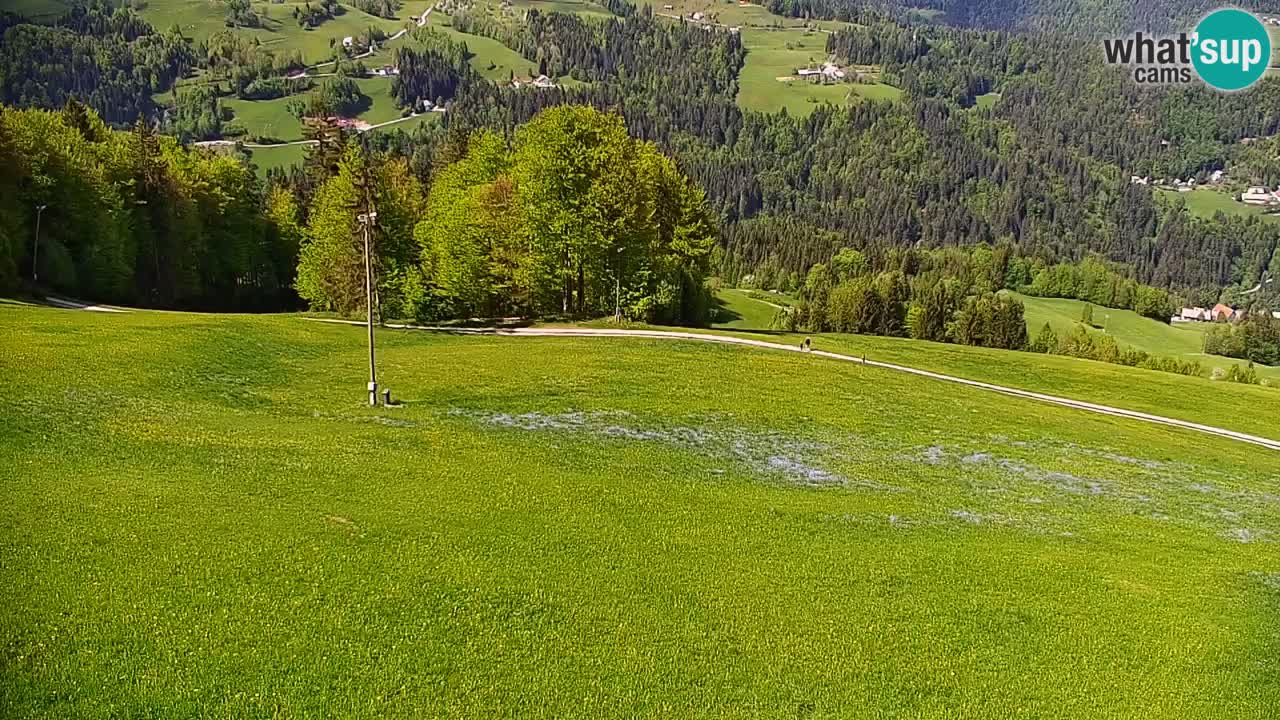 Webcam en direct de la station de ski de Stari Vrh – Slovénie