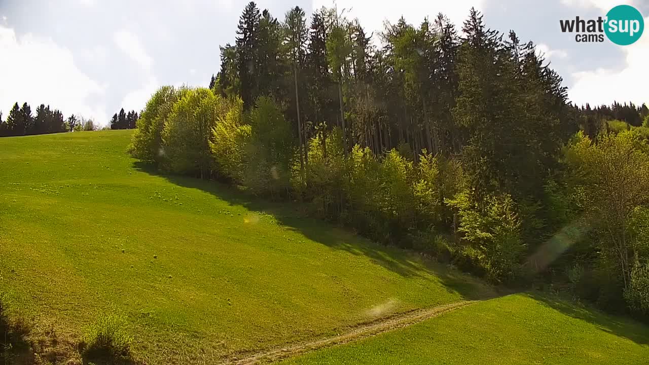Stazione sciistica di Stari Vrh Webcam in diretta – Slovenia