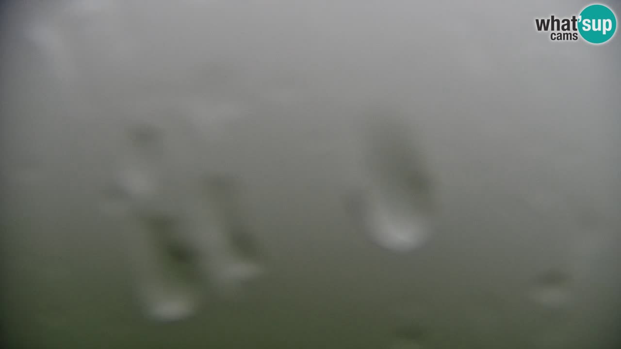 Stazione sciistica di Stari Vrh Webcam in diretta – Slovenia