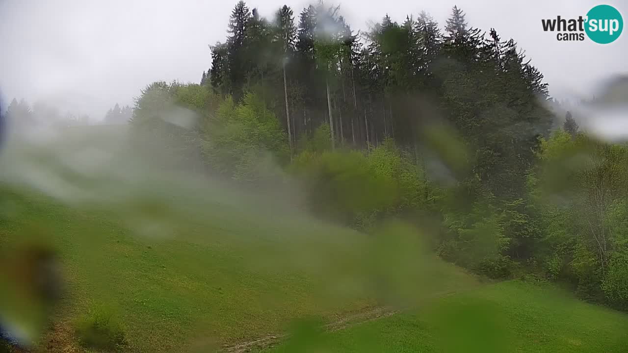 Stazione sciistica di Stari Vrh Webcam in diretta – Slovenia