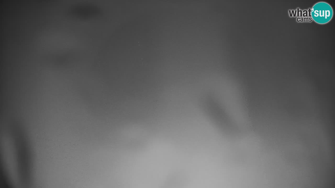 Skigebiet Stari Vrh Live Webcam – Slowenien