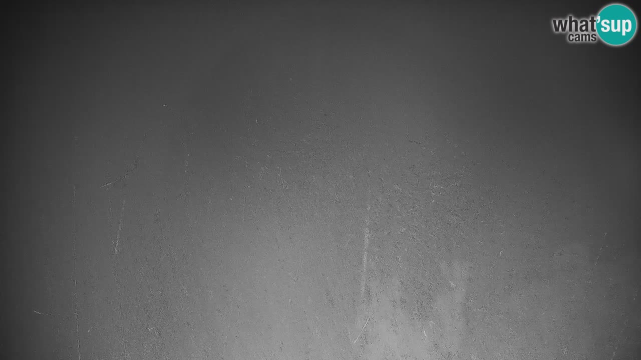 Stazione sciistica di Stari Vrh Webcam in diretta – Slovenia