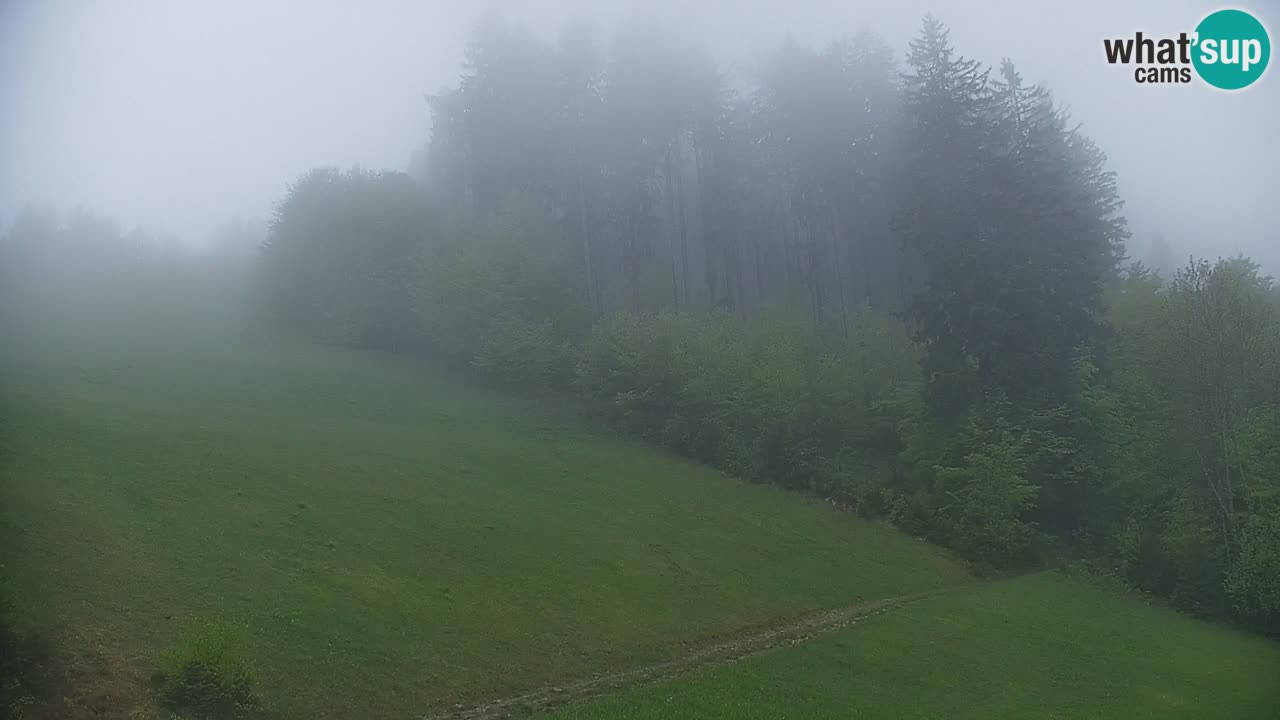 Stari Vrh Ski resort Live webcam – Slovenia