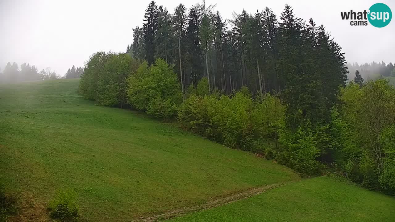 Skijalište Stari Vrh Web kamera uživo – Slovenija