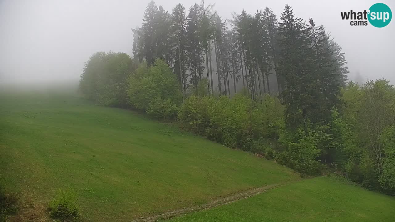 Skijalište Stari Vrh Web kamera uživo – Slovenija