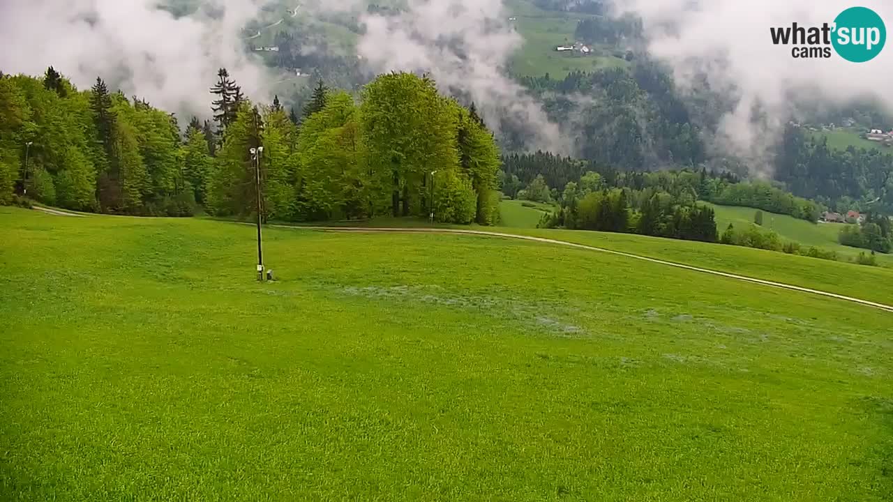 Skijalište Stari Vrh Web kamera uživo – Slovenija