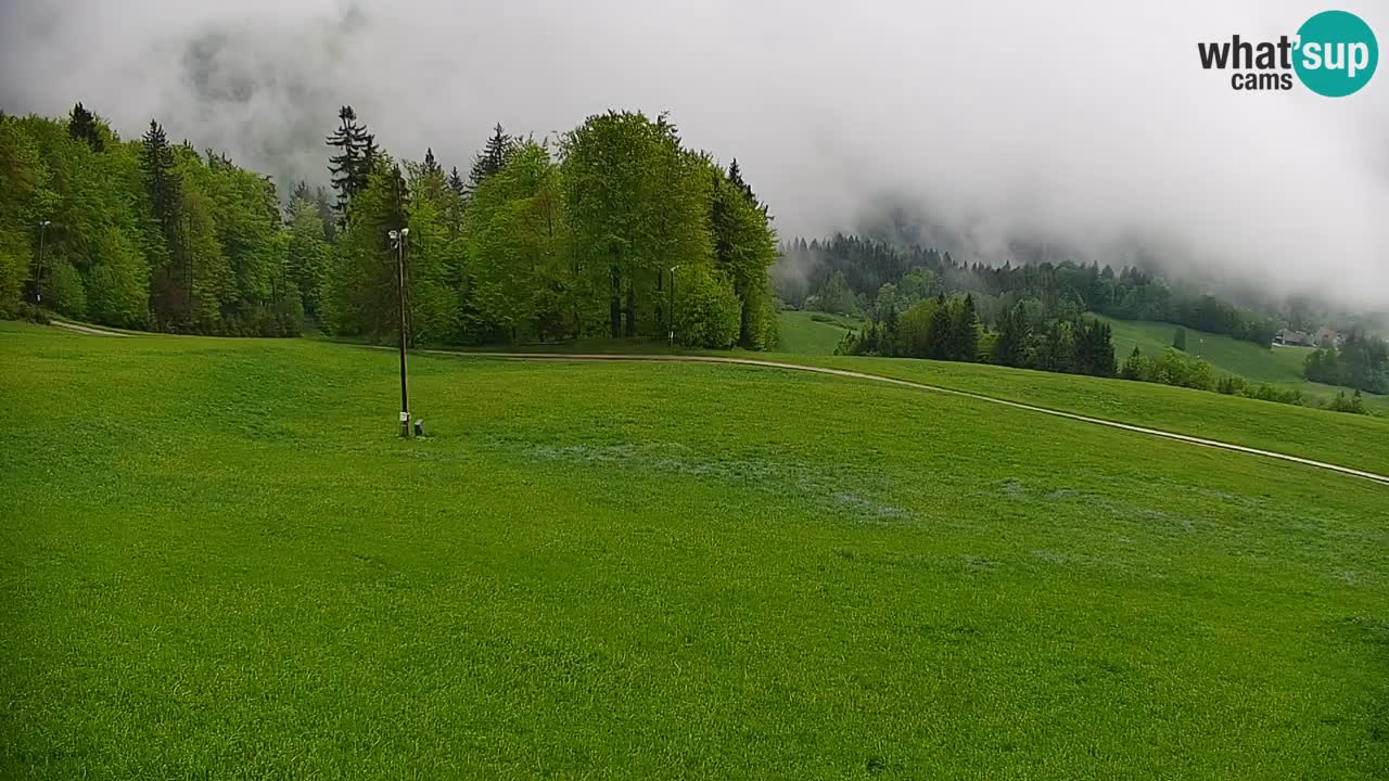 Stazione sciistica di Stari Vrh Webcam in diretta – Slovenia