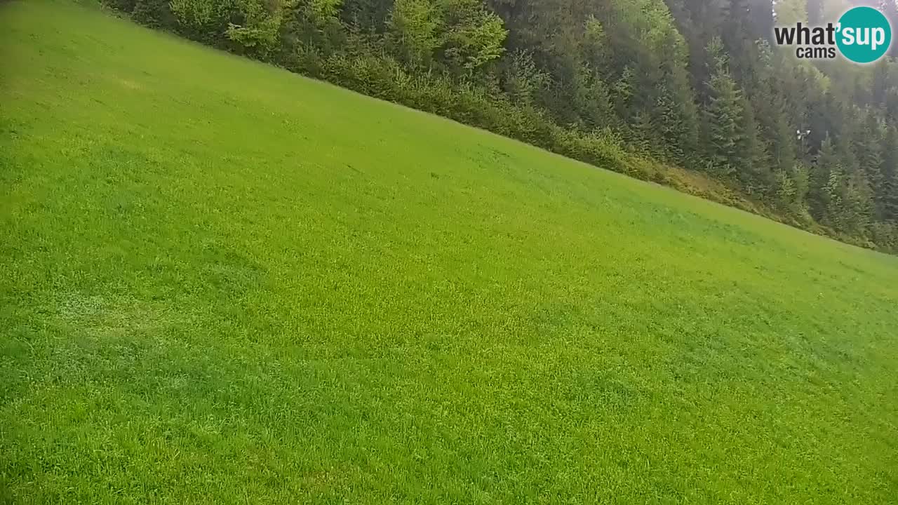 Stazione sciistica di Stari Vrh Webcam in diretta – Slovenia