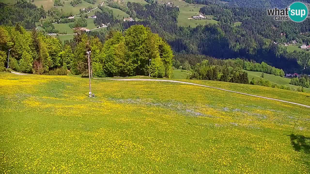 Stazione sciistica di Stari Vrh Webcam in diretta – Slovenia
