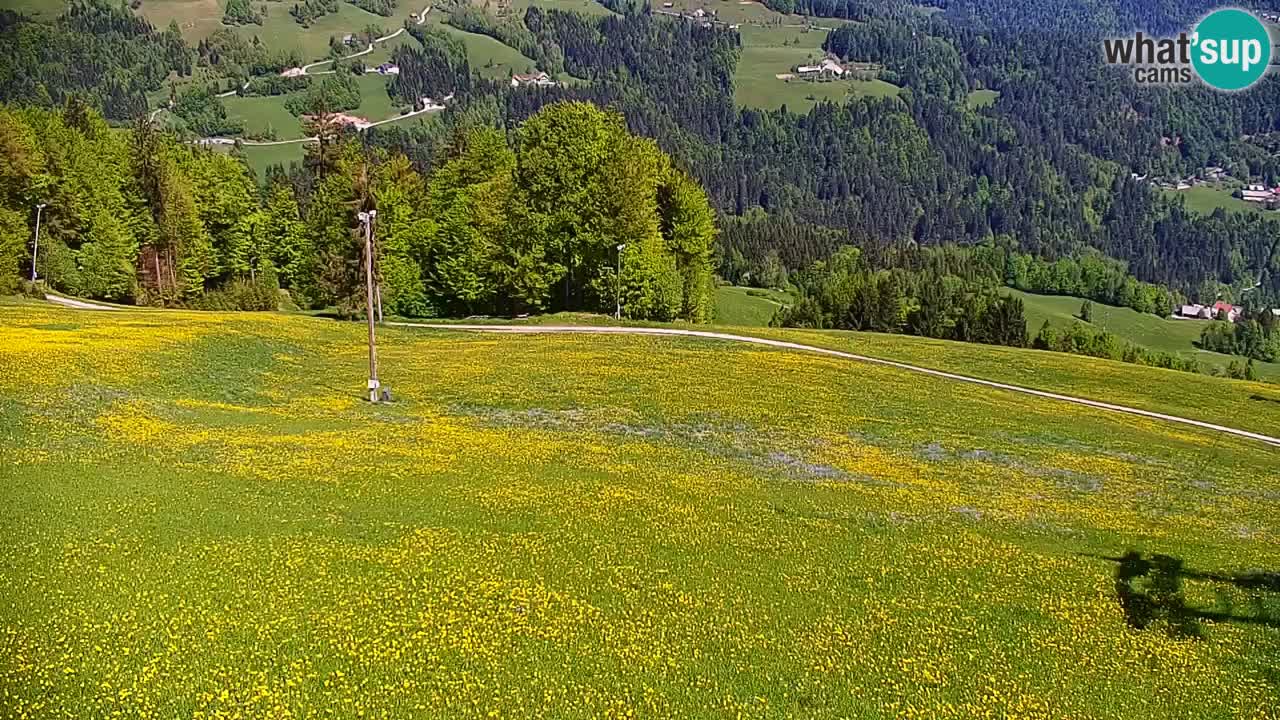 Smučišče Stari Vrh Spletna kamera – vrtljiva