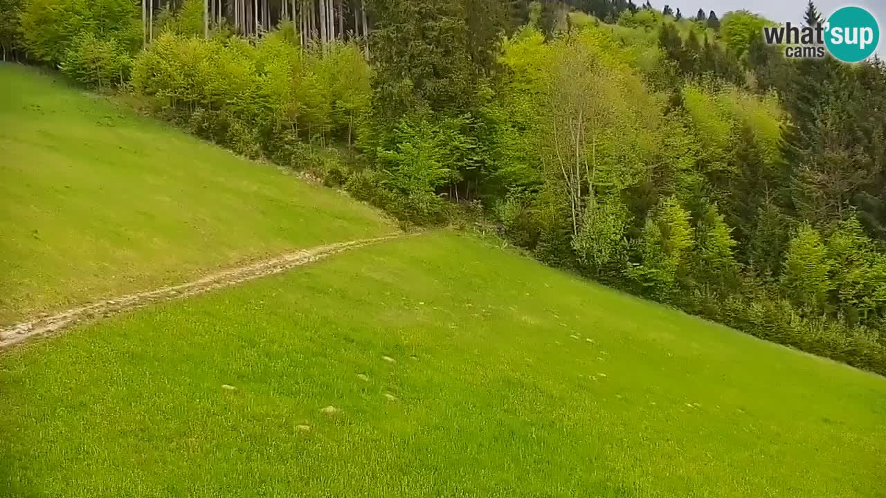 Estación de esquí Stari Vrh Cámara web en vivo – Eslovenia