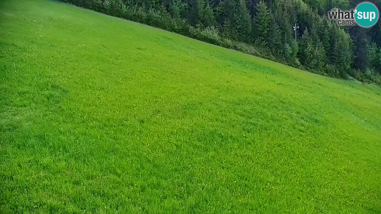 Stari Vrh Ski resort Live webcam – Slovenia
