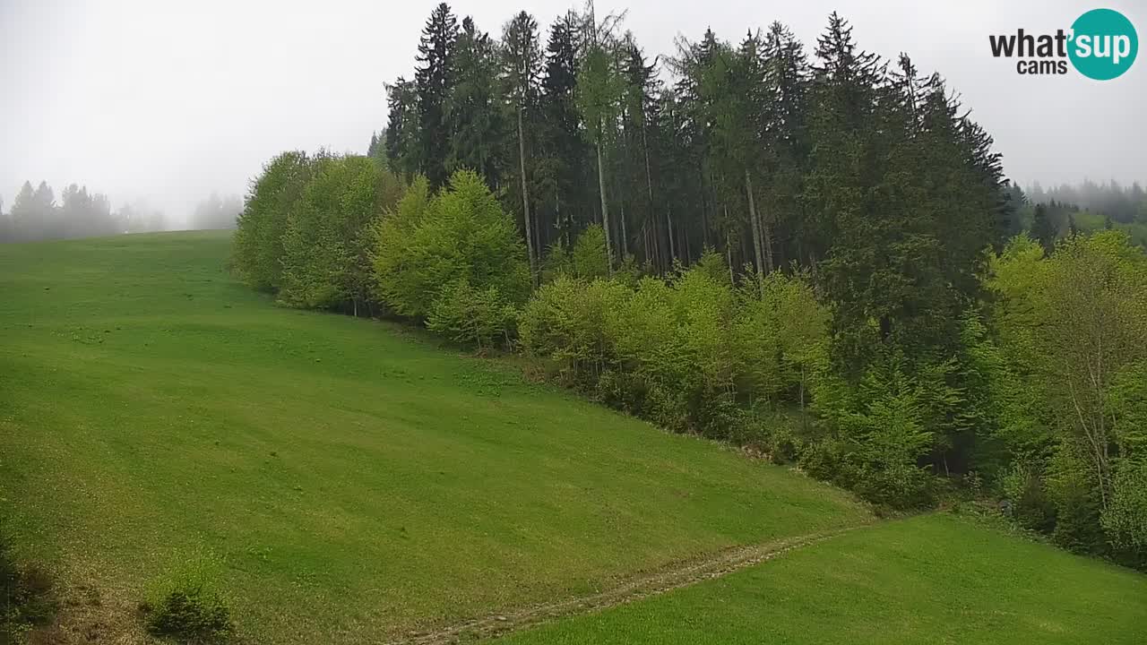 Stazione sciistica di Stari Vrh Webcam in diretta – Slovenia