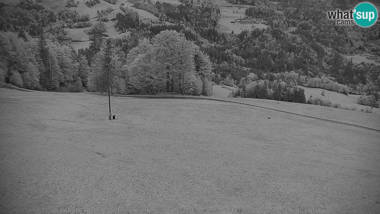 Webcam en direct de la station de ski de Stari Vrh – Slovénie