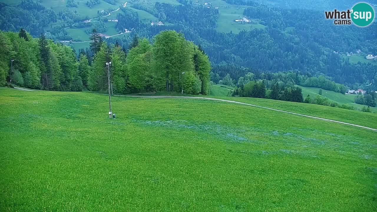 Stazione sciistica di Stari Vrh Webcam in diretta – Slovenia