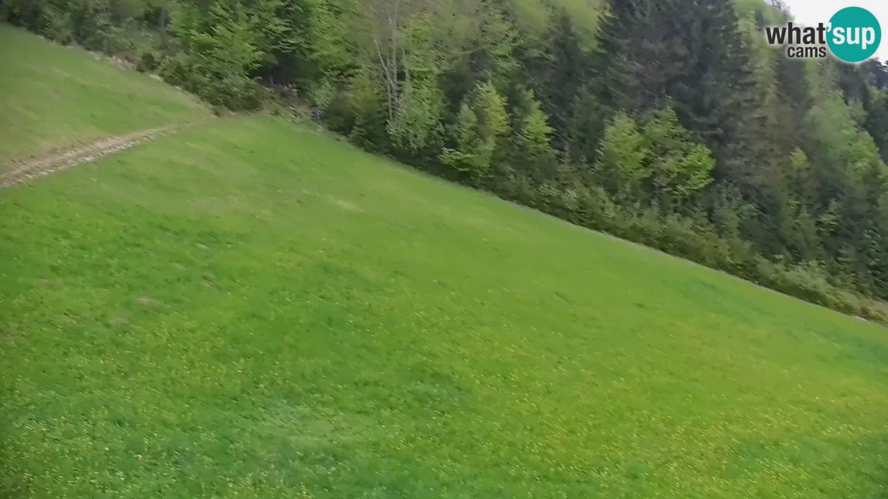 Stari Vrh Ski resort Live webcam – Slovenia