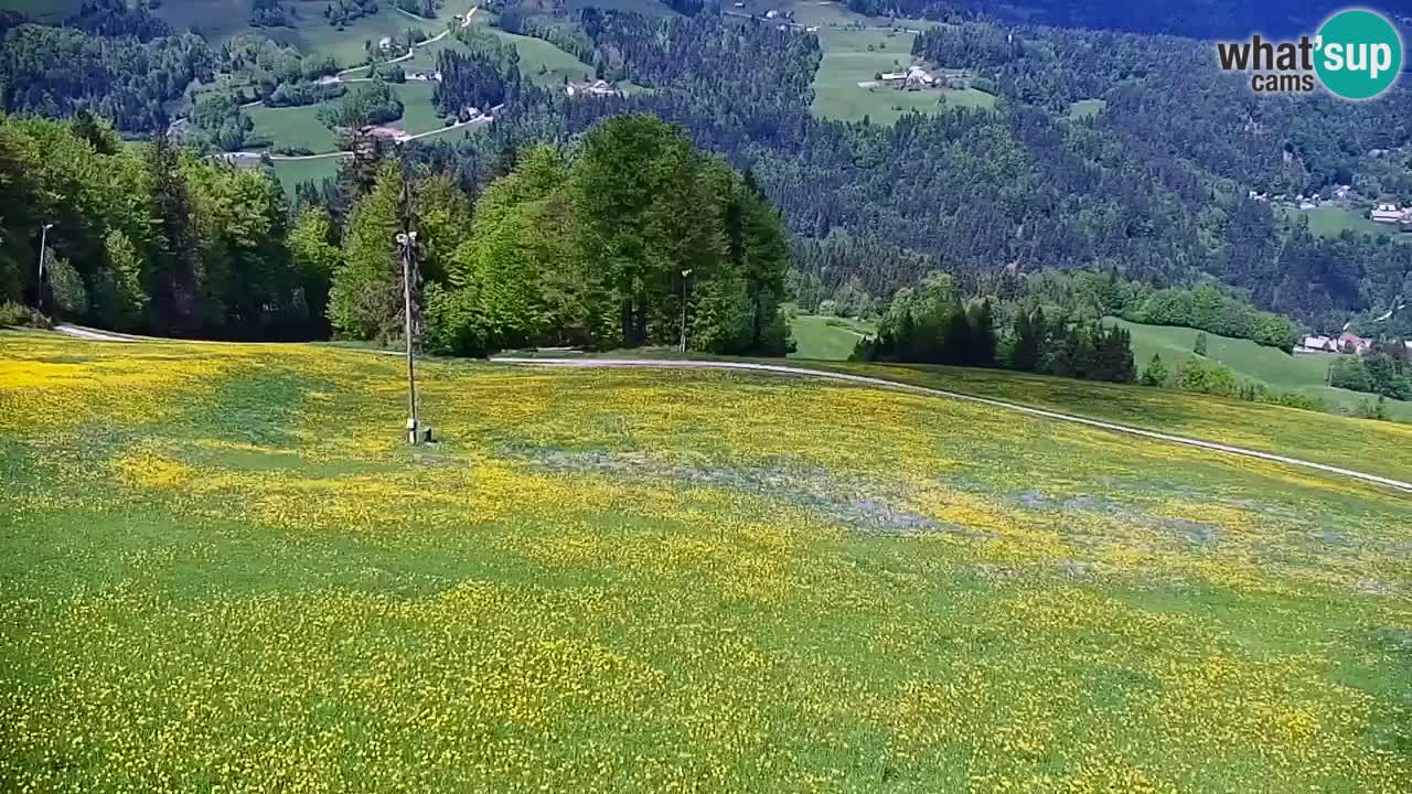 Estación de esquí Stari Vrh Cámara web en vivo – Eslovenia