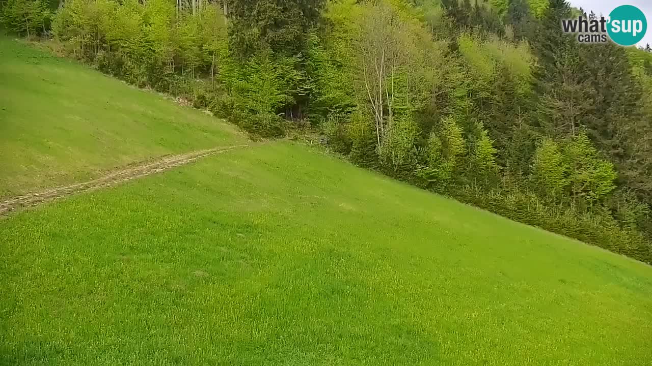 Stari Vrh Ski resort Live webcam – Slovenia