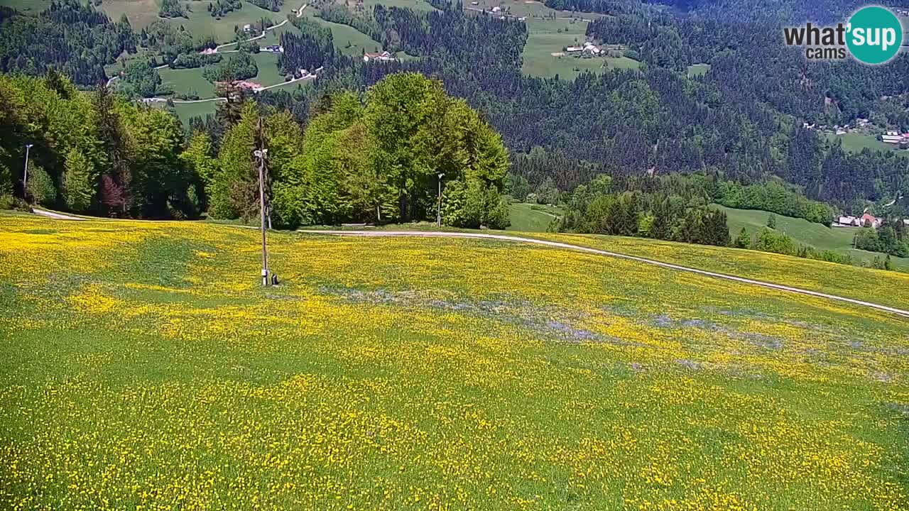 Estación de esquí Stari Vrh Cámara web en vivo – Eslovenia