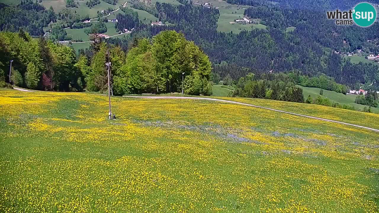 Stazione sciistica di Stari Vrh Webcam in diretta – Slovenia