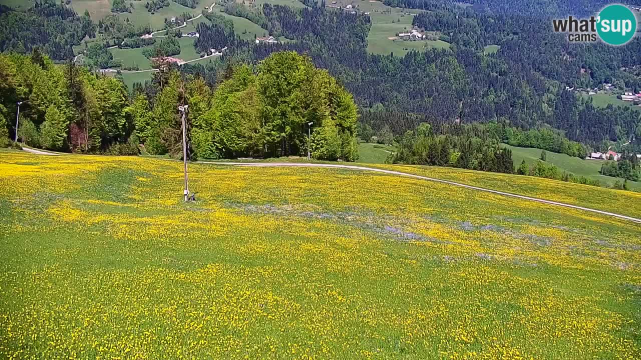 Skijalište Stari Vrh Web kamera uživo – Slovenija