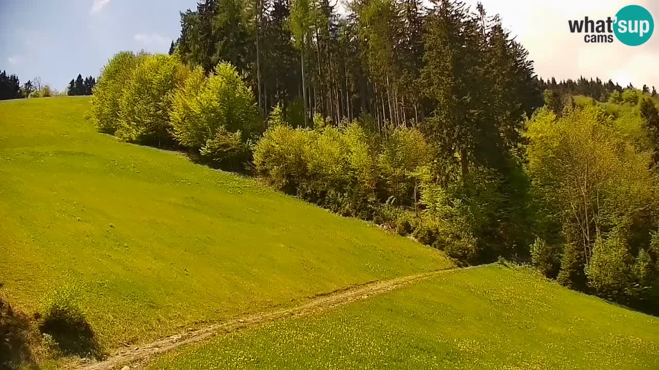 Stari Vrh Ski resort Live webcam – Slovenia