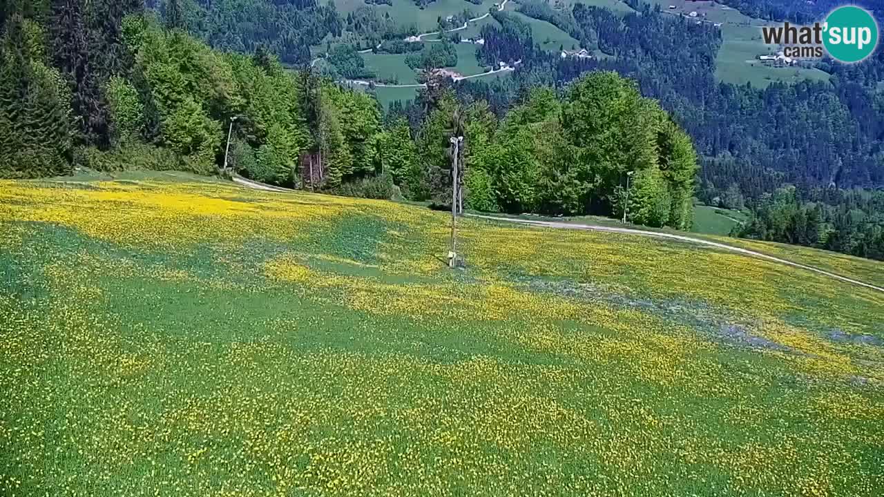 Stazione sciistica di Stari Vrh Webcam in diretta – Slovenia