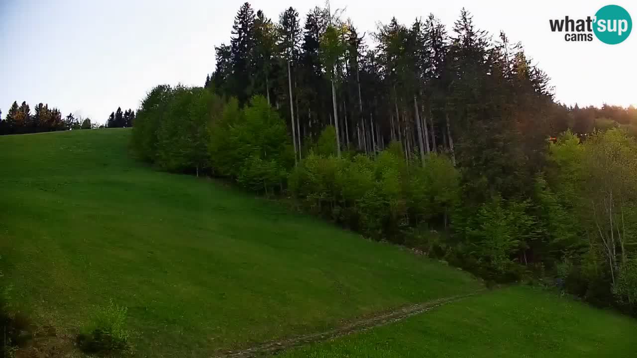 Stazione sciistica di Stari Vrh Webcam in diretta – Slovenia