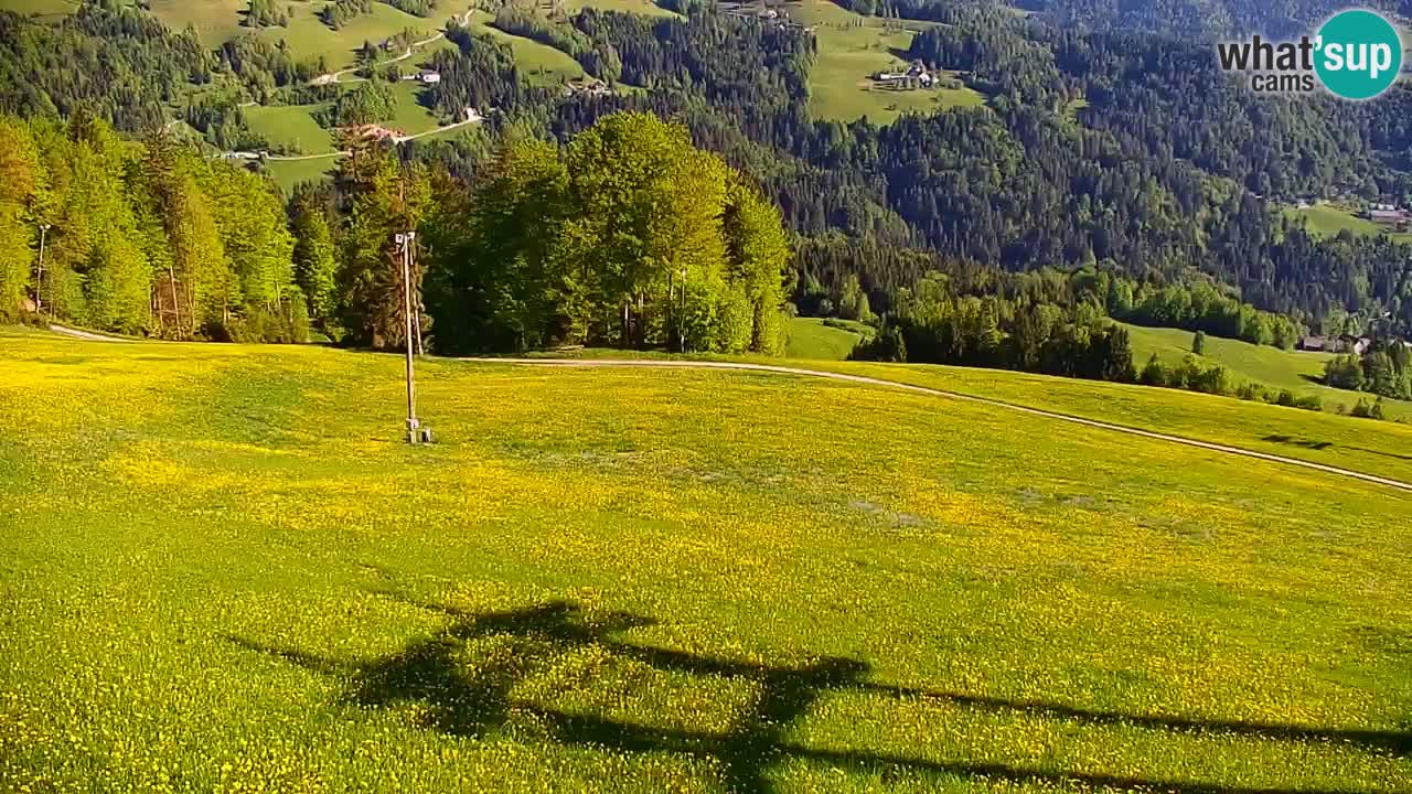 Smučišče Stari Vrh Spletna kamera – vrtljiva