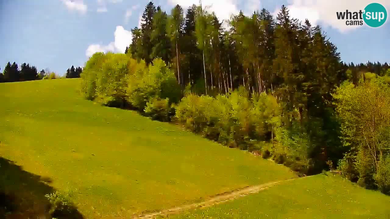 Skijalište Stari Vrh Web kamera uživo – Slovenija