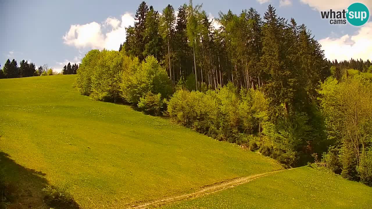 Estación de esquí Stari Vrh Cámara web en vivo – Eslovenia