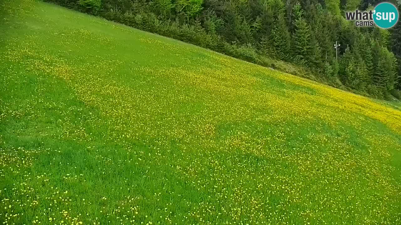 Skigebiet Stari Vrh Live Webcam – Slowenien