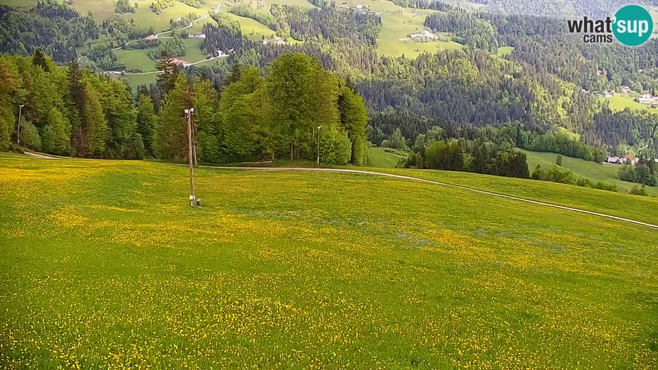 Skijalište Stari Vrh Web kamera uživo – Slovenija