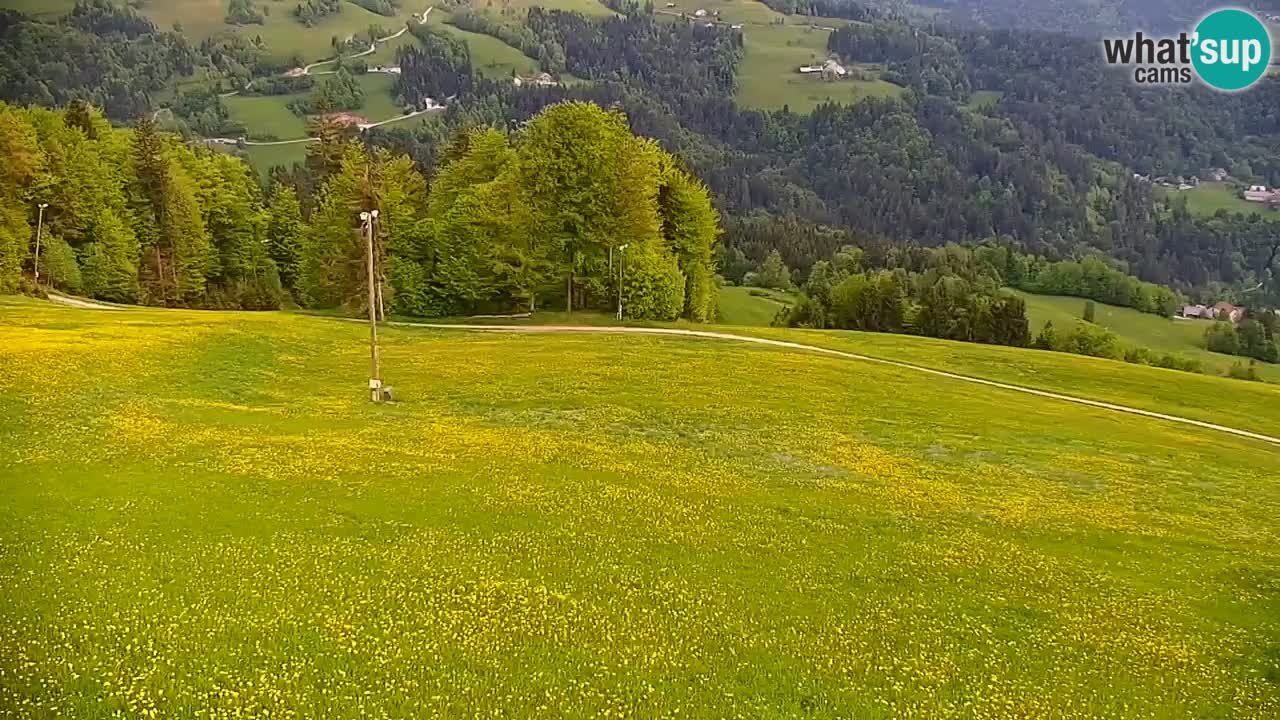 Skigebiet Stari Vrh Live Webcam – Slowenien