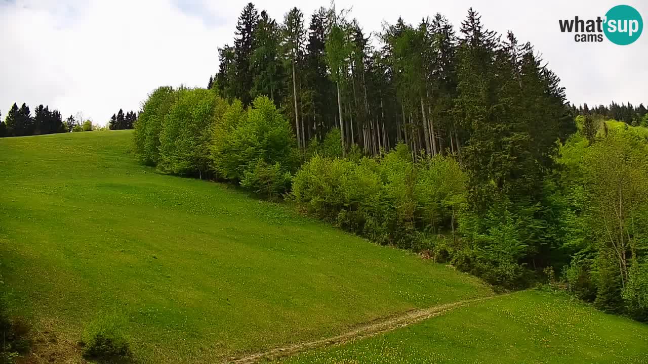 Stari Vrh Ski resort Live webcam – Slovenia