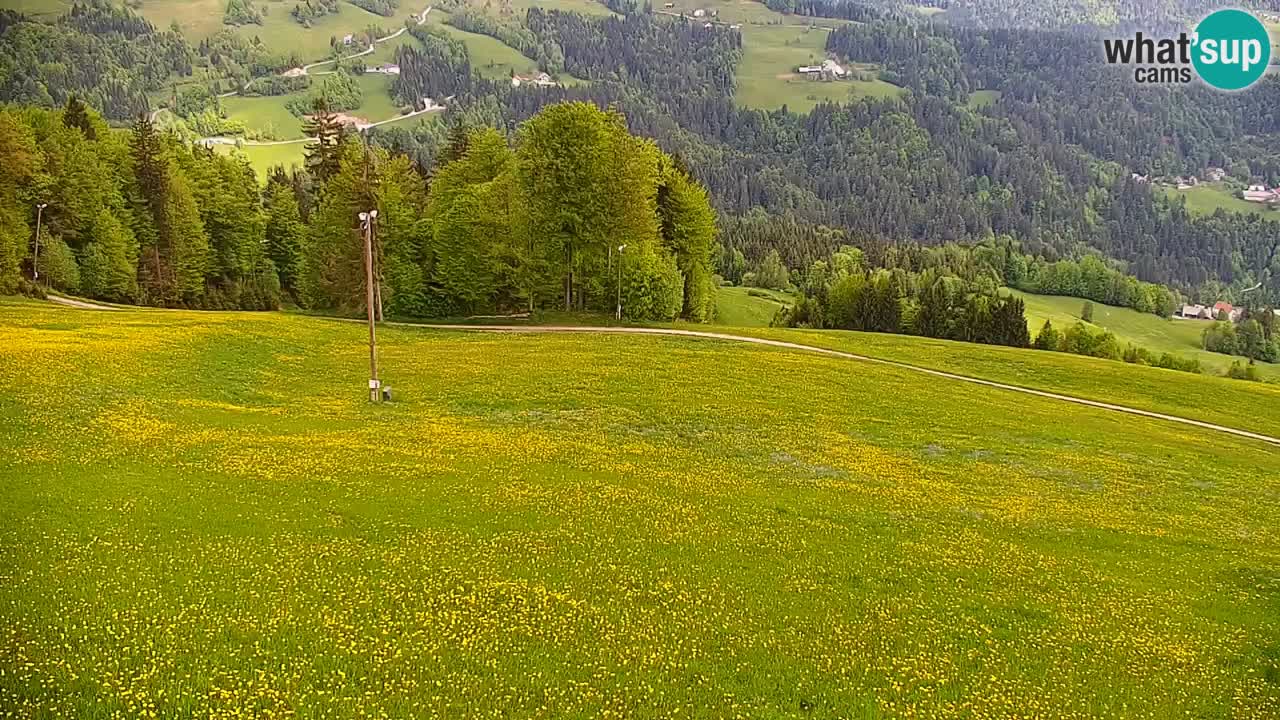 Estación de esquí Stari Vrh Cámara web en vivo – Eslovenia