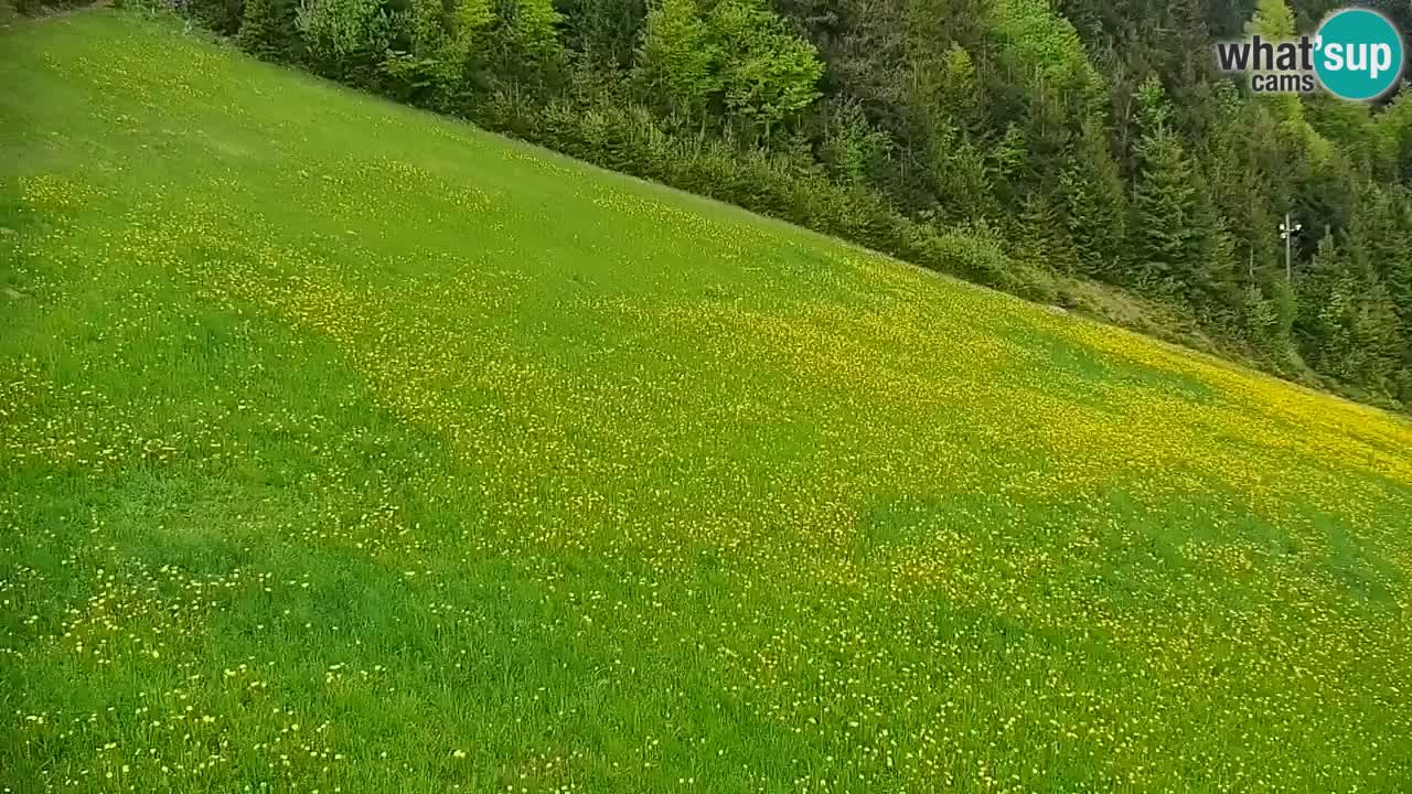 Stazione sciistica di Stari Vrh Webcam in diretta – Slovenia