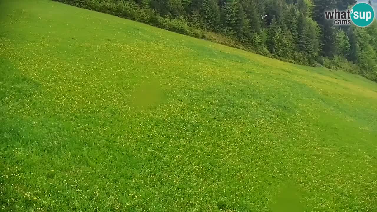 Stazione sciistica di Stari Vrh Webcam in diretta – Slovenia