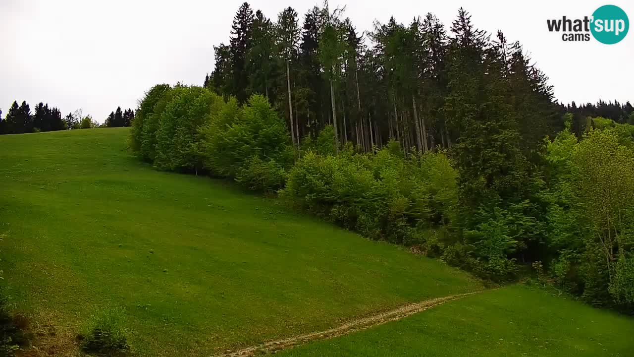 Skigebiet Stari Vrh Live Webcam – Slowenien