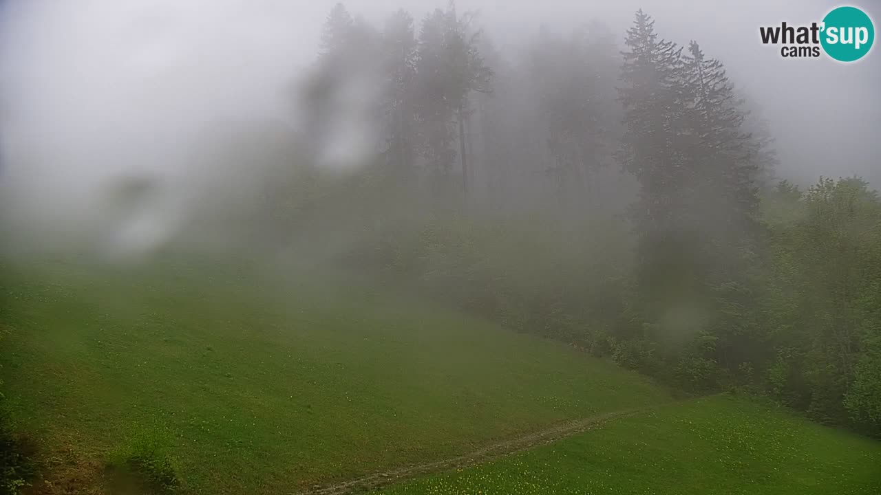 Stazione sciistica di Stari Vrh Webcam in diretta – Slovenia