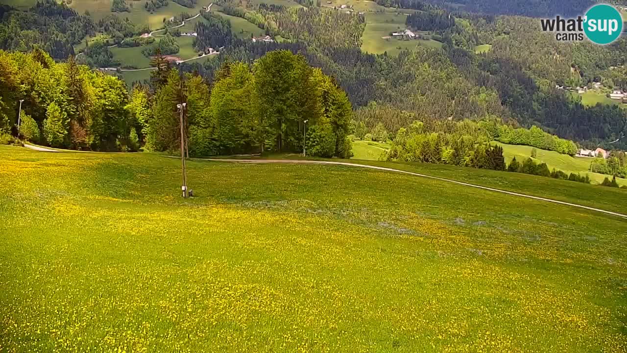 Skijalište Stari Vrh Web kamera uživo – Slovenija