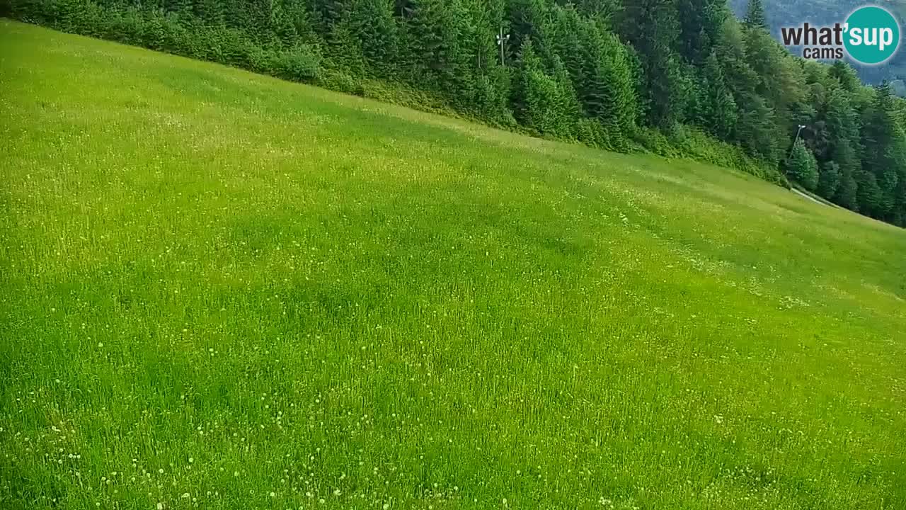 Skigebiet Stari Vrh Live Webcam – Slowenien