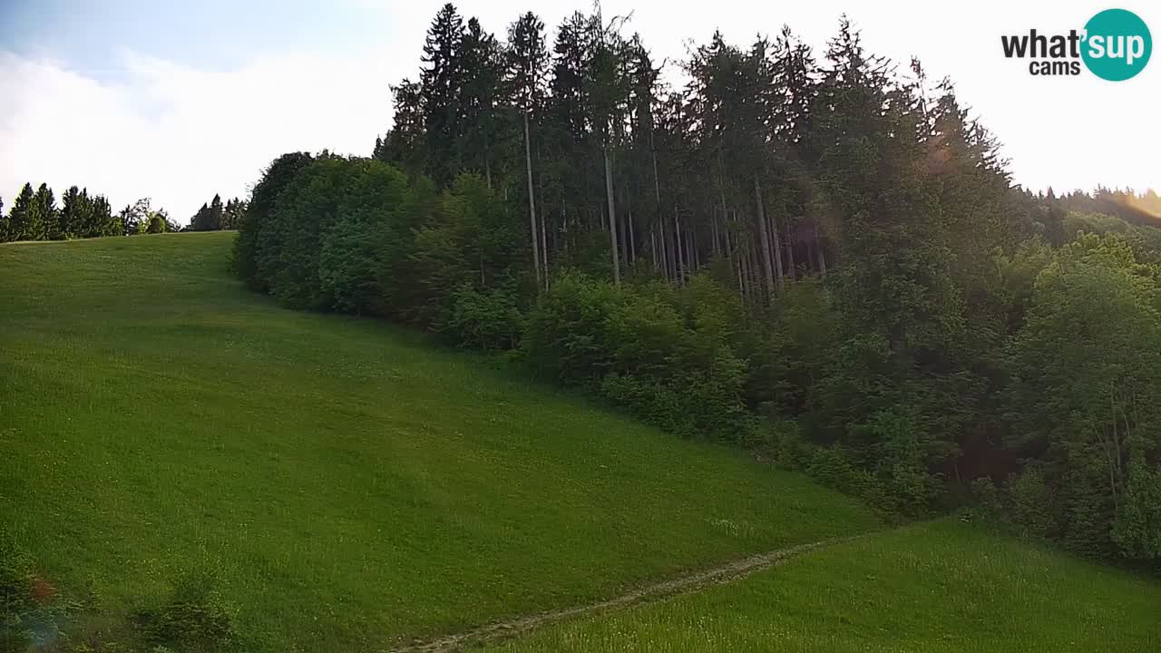 Webcam en direct de la station de ski de Stari Vrh – Slovénie
