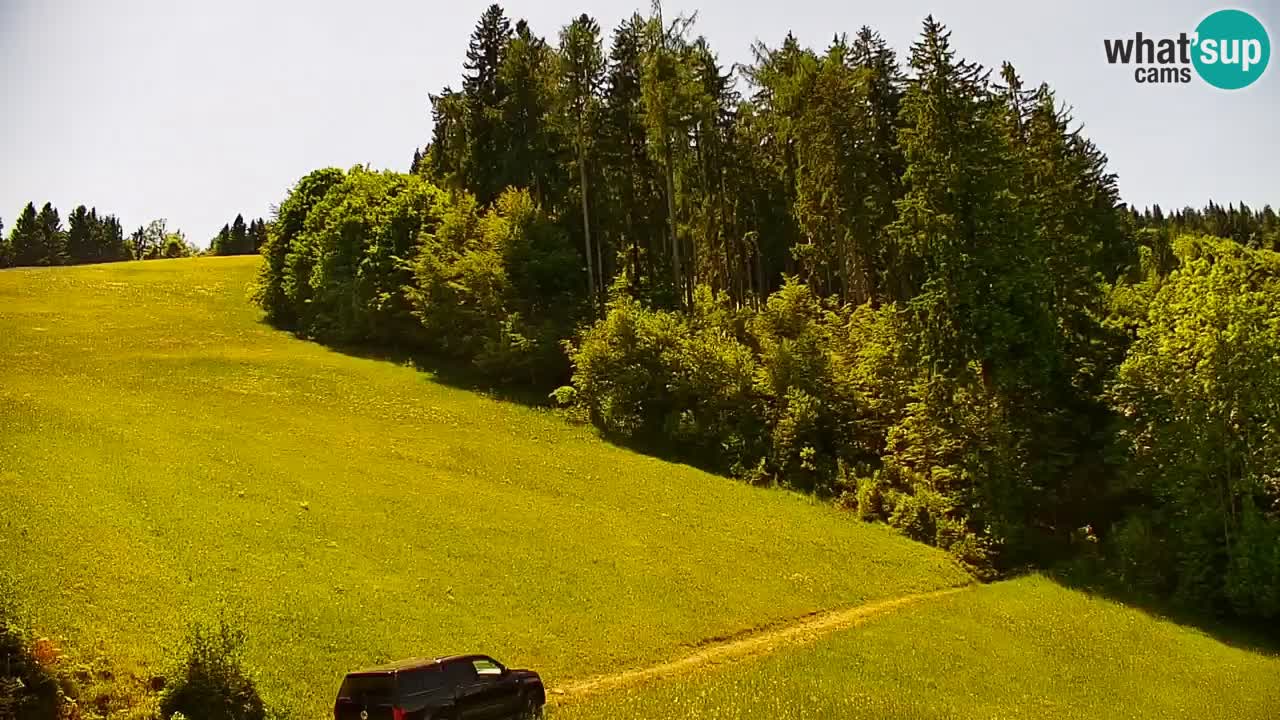 Stari Vrh Ski resort Live webcam – Slovenia